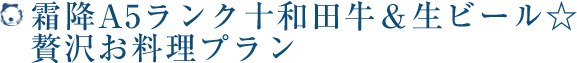 霜降A5ランク十和田牛＆生ビール☆贅沢お料理プラン